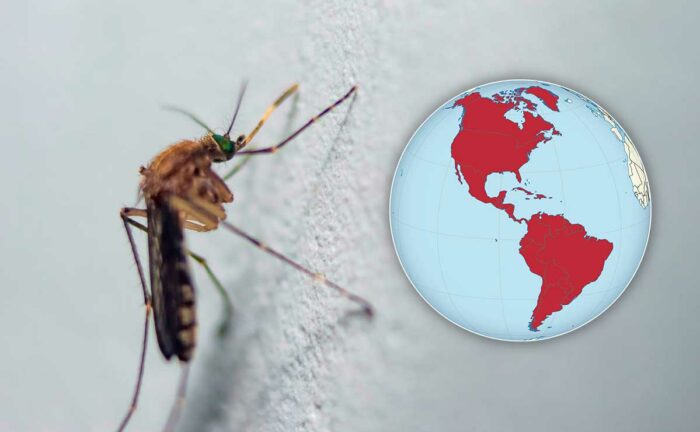 Países libres de malaria