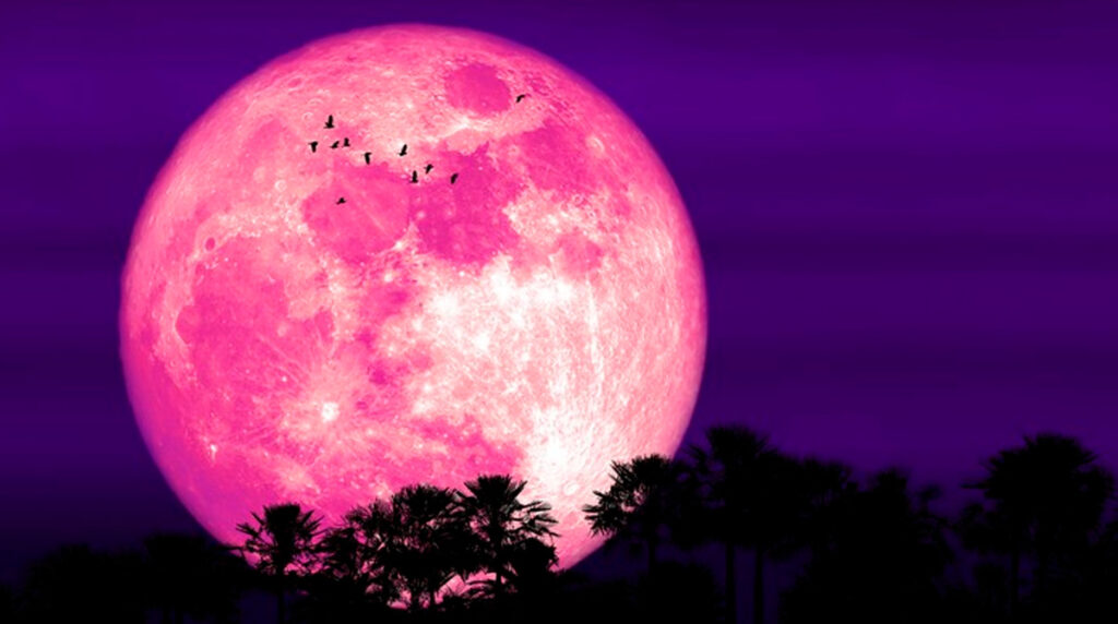 Luna-Rosa-llega-en-abril-qué-significa-y-cuándo-verla