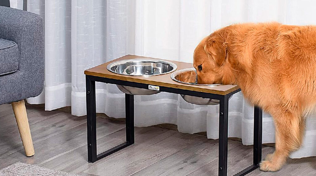 cuales-son-los-mejores-platos-para-perros