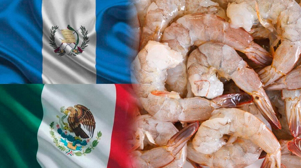 guatemala-reanuda-exportacion-de-camaron-a-mexico-que-representa