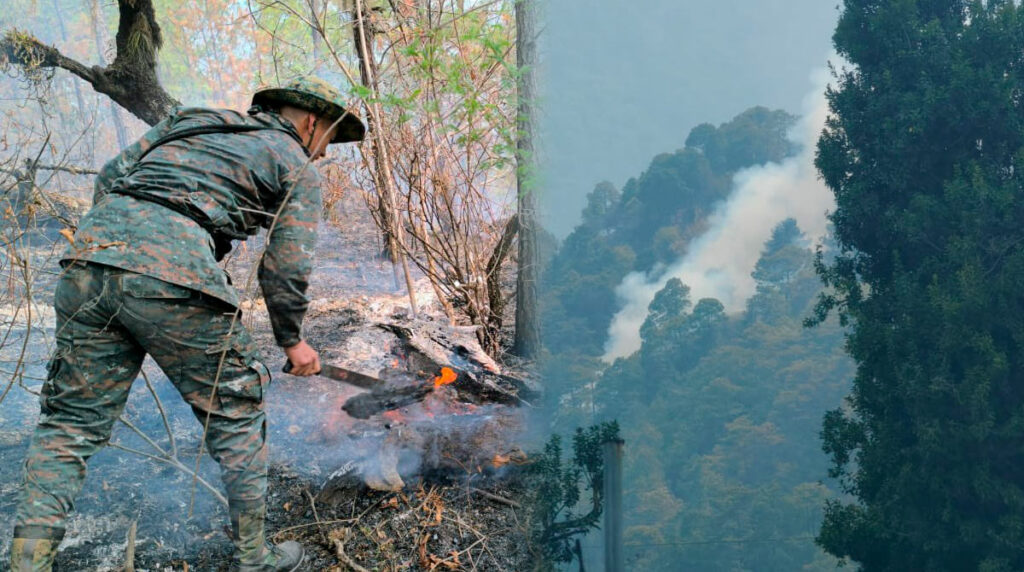 impacto-de-los-incendios-forestales-en-guatemala-expedientes