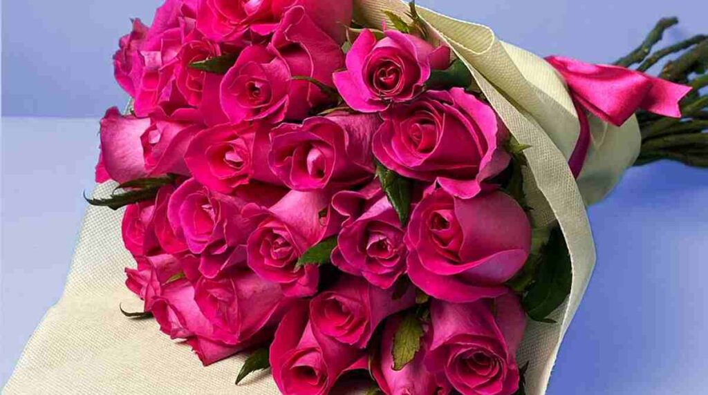 Significado de las rosas.