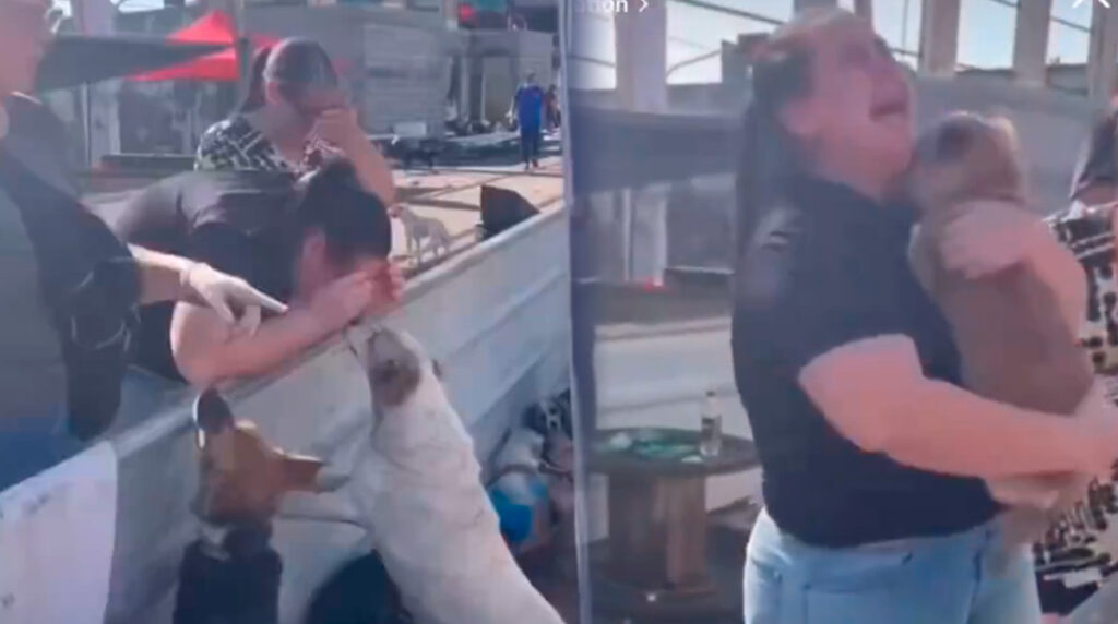 rompe-a-llorar-al-encontrar-a-su-mascota-tras-separarse-por-las-inundaciones-en-brasil