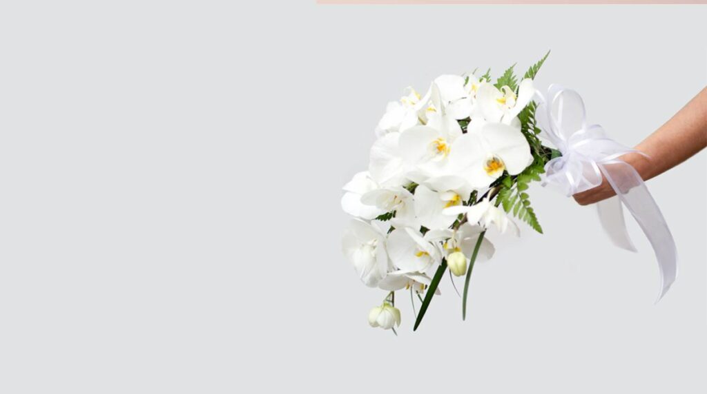 Significado de las orquídeas