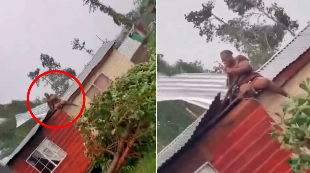 Mujer se sube al techo de su casa para sostener las láminas durante huracán Beryl