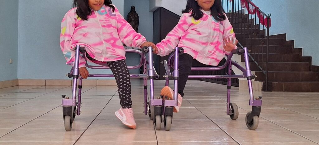  “Las Rositas” tienen problemas de salud y necesitan ayuda: ¿Cómo apoyarlas?  
