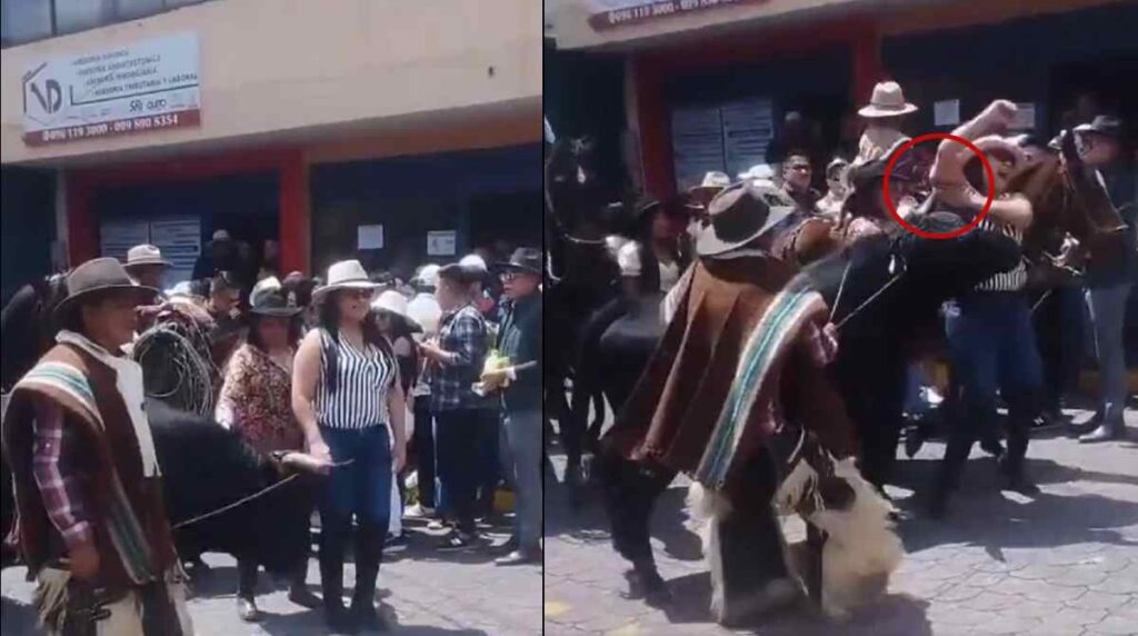 Mujer es corneada por un toro cuando intentaba tomarse una foto con él ...