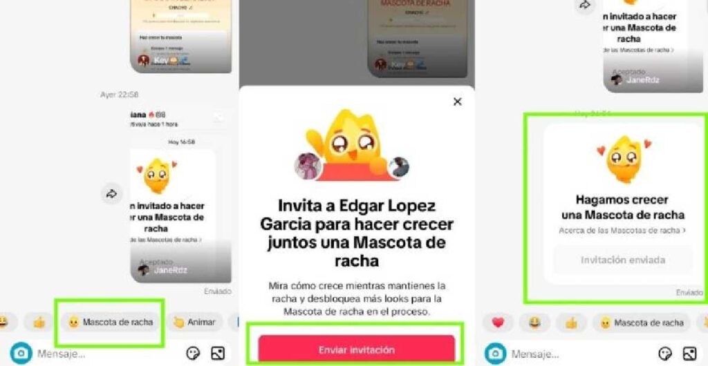 mascota-de-la-racha-tiktok