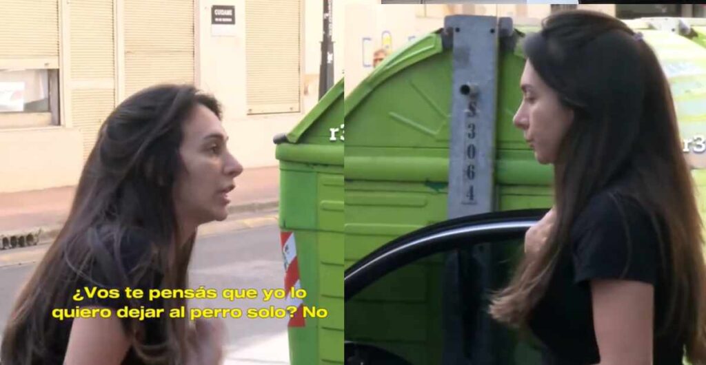 descubre-perro-murio-auto