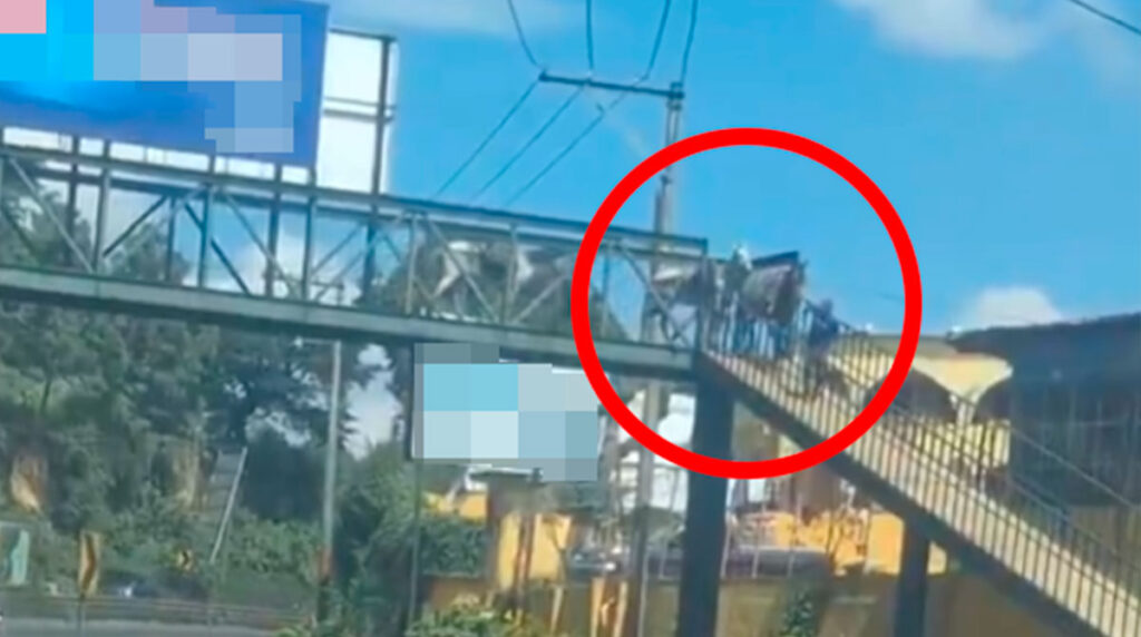 hombre-utiliza-pasarela-para-cruzar-caballos-video