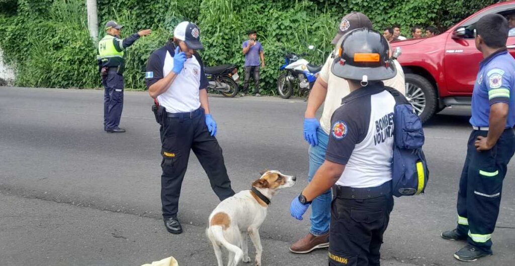 familia-identifica-joven-asesinado-km-92-rn-14