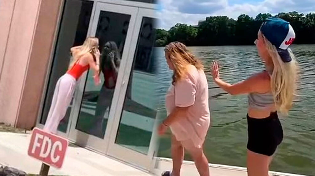 influencer-suplica-tiktok-devuelvan-cuenta-se-burlo-persona-sin-hogar
