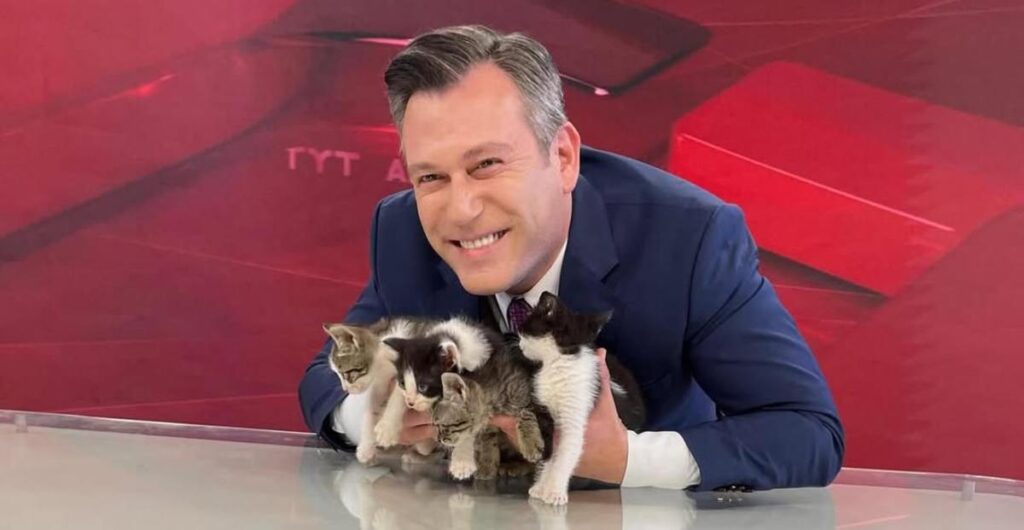 presentador-presenta-gatitos-nacieron-canal-turquia