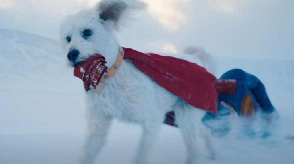 ¡Todos quieren un Krypto! Refugios reportan alza en adopciones tras estreno de Superman