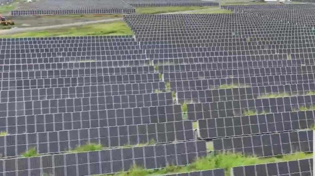 Energía solar en Escuintla: así es Magdalena Solar I, el proyecto que abastecerá miles de hogares