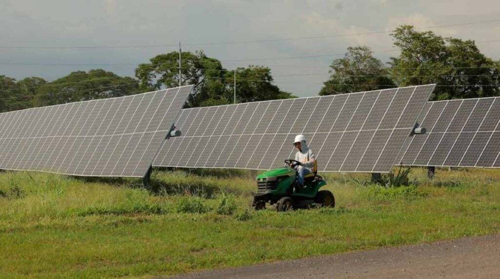 Energía solar en Escuintla: así es Magdalena Solar I, el proyecto que abastecerá miles de hogares