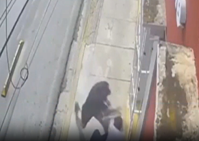 Ciclista le da una golpiza a hombre tras gritarle piropos malintencionados a una mujer (VIDEO)
