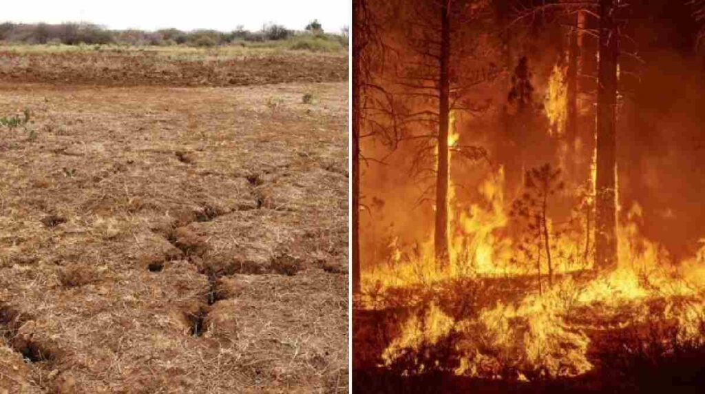 fenomeno-el-niño-alerta-roja-el-salvador
