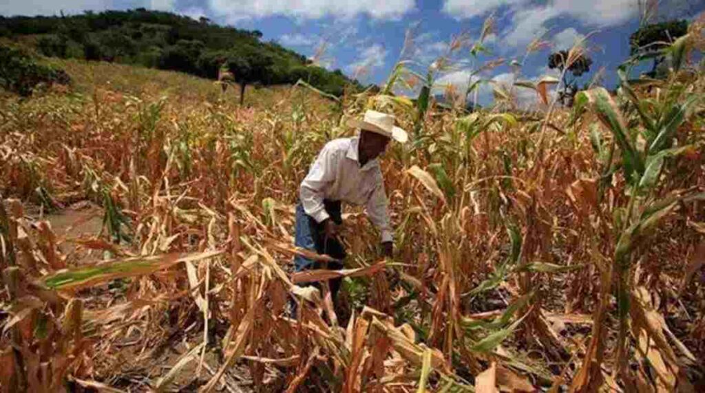 fenomeno-el-niño-el-salvador